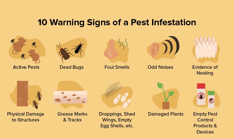 10 warning signs of a pest infestation: active pests, dead bugs, foul smells, odd noises, evidence of nesting, physical damage to structures, grease marks and tracks, droppings, shed wings, empty egg shells, damaged plants and empty pest control products and devices. 